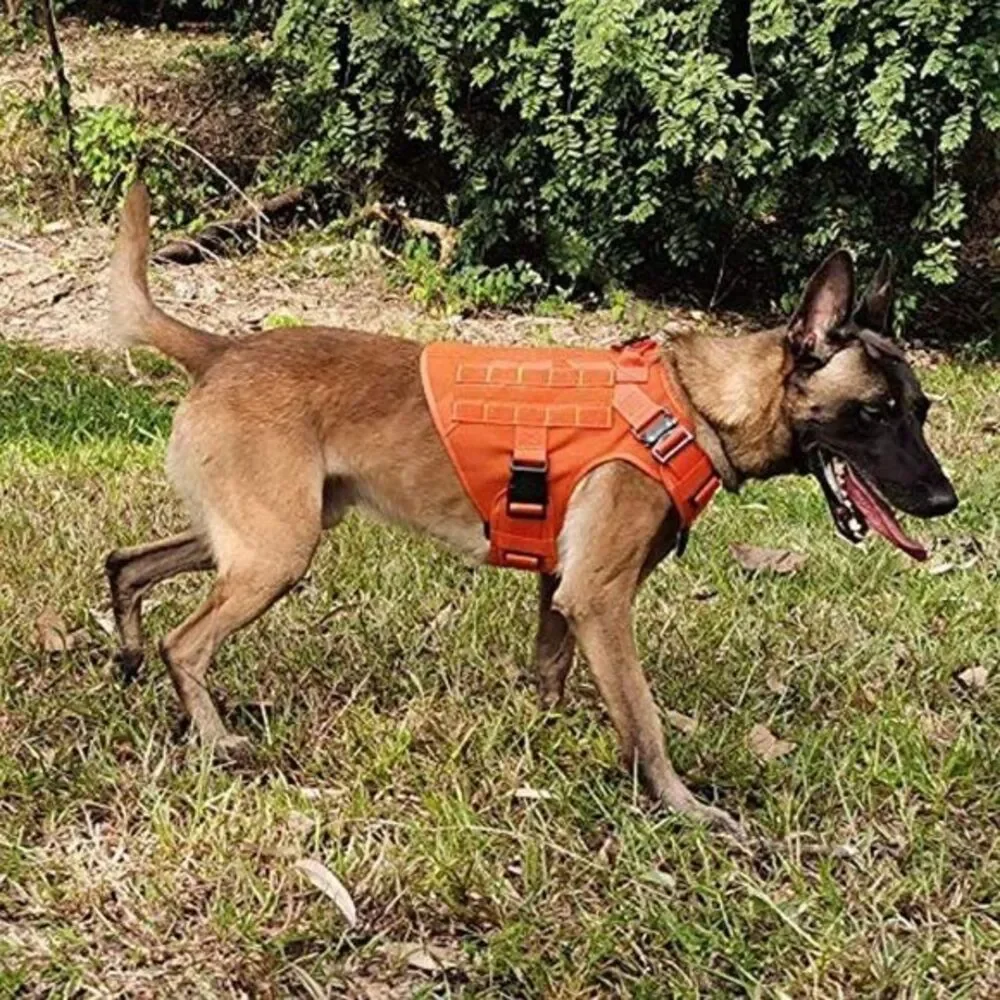 Orange Tactical Dog Harness Service‎ Dog New